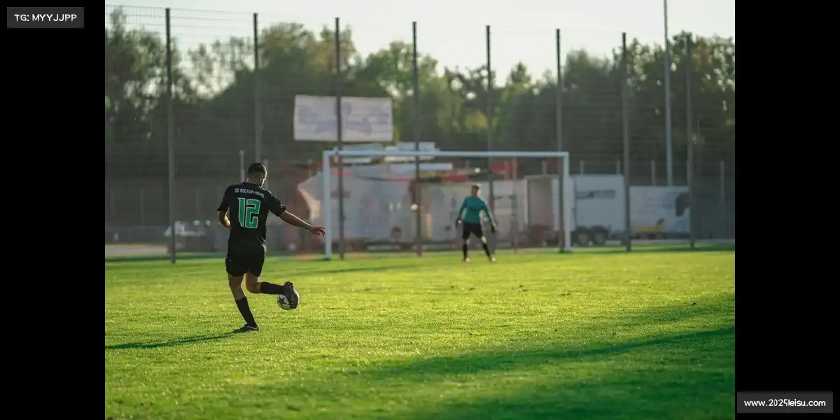 雷速官网——♿障碍跨越，势如破竹！